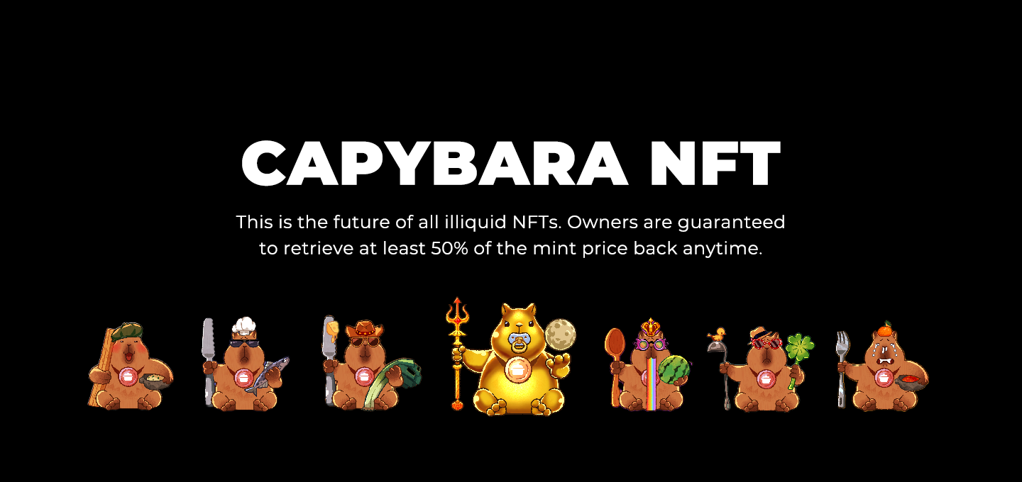 GitHub - hotpotfinance/capybara